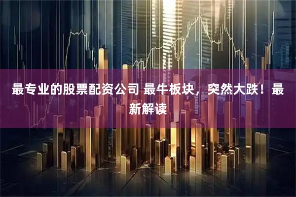 最专业的股票配资公司 最牛板块，突然大跌！最新解读